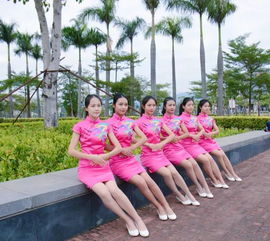 禮儀服務(wù)與接待 從心出發(fā)，開(kāi)啟技術(shù)轉(zhuǎn)讓新篇章